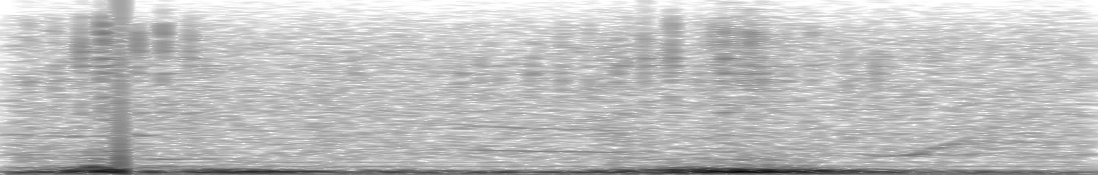 [Loading Spectrogram]