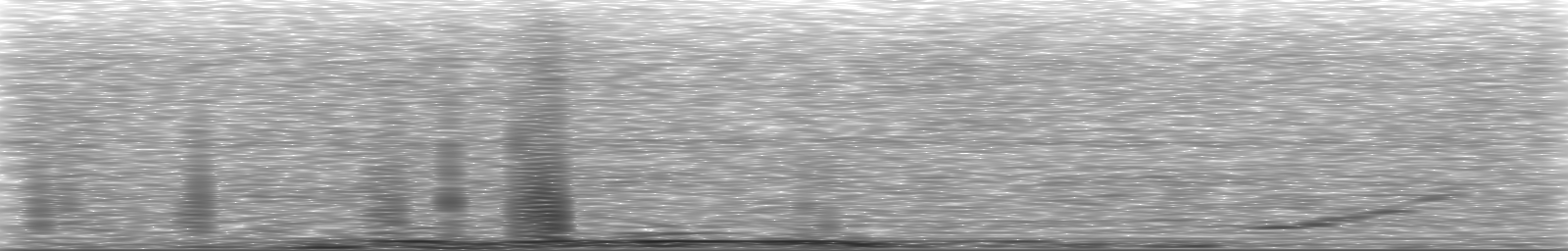 [Loading Spectrogram]