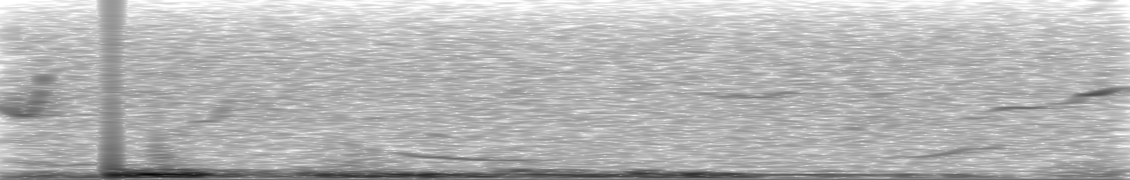 [Loading Spectrogram]