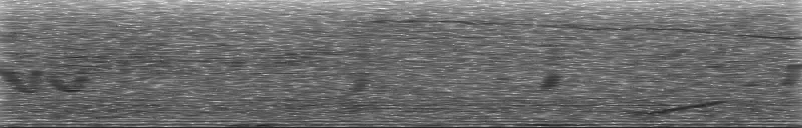 [Loading Spectrogram]