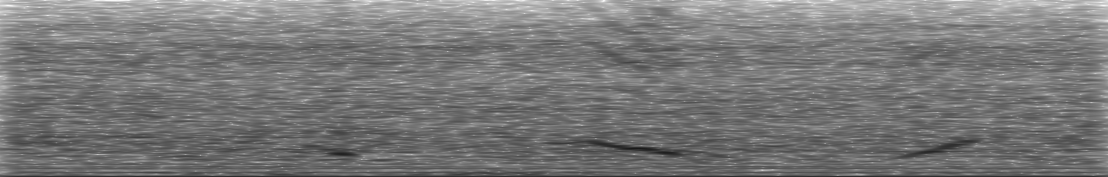 [Loading Spectrogram]