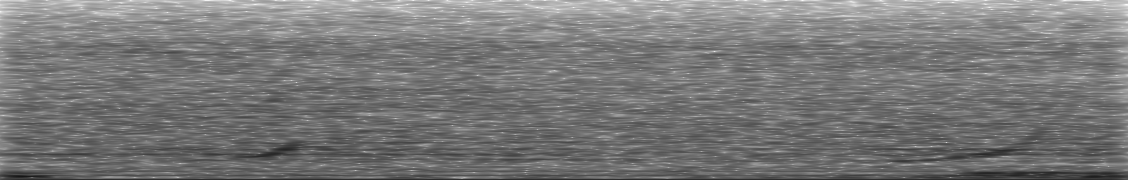 [Loading Spectrogram]