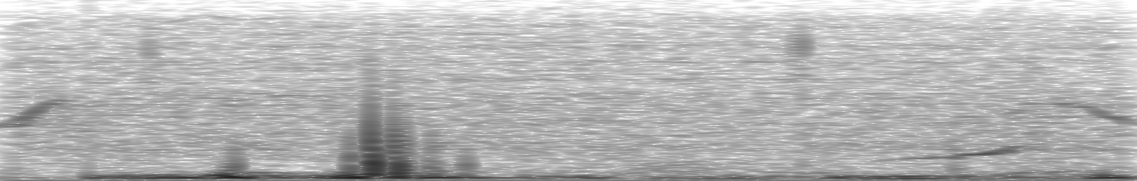 [Loading Spectrogram]