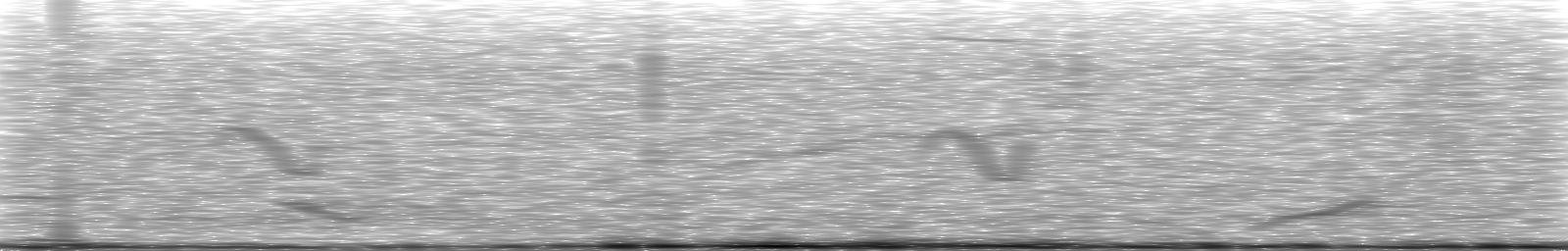 [Loading Spectrogram]