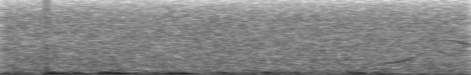 [Loading Spectrogram]