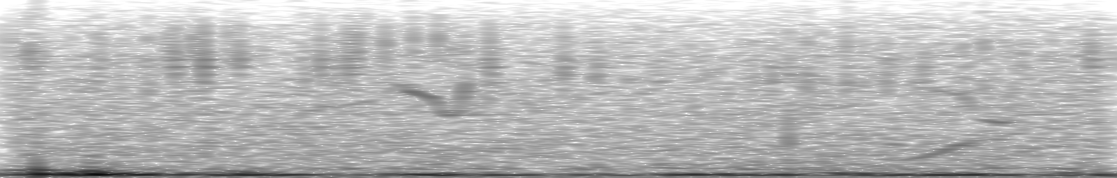 [Loading Spectrogram]