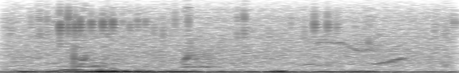 [Loading Spectrogram]