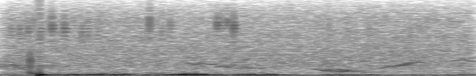 [Loading Spectrogram]