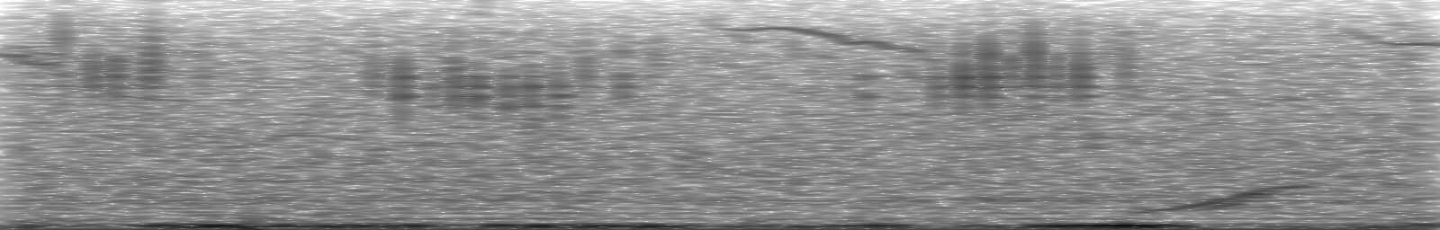 [Loading Spectrogram]