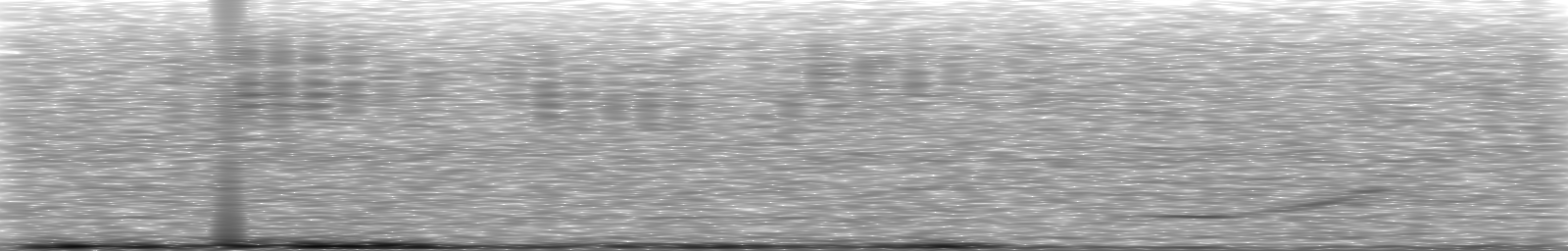 [Loading Spectrogram]