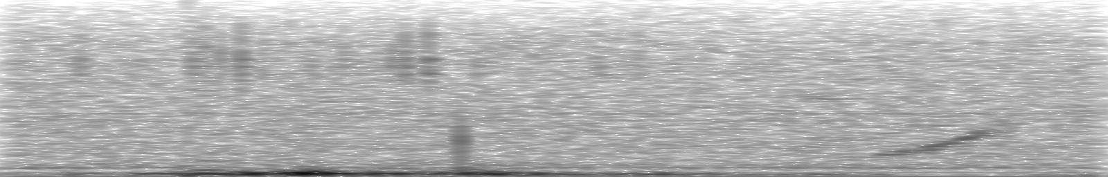 [Loading Spectrogram]