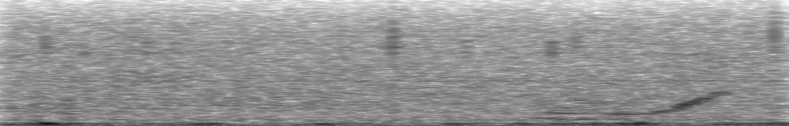 [Loading Spectrogram]