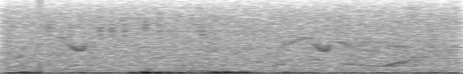 [Loading Spectrogram]