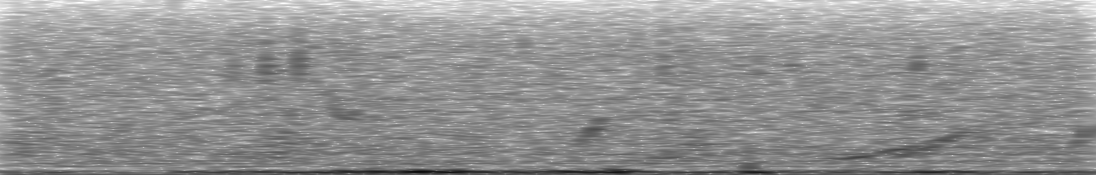 [Loading Spectrogram]