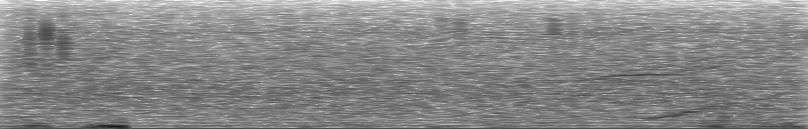 [Loading Spectrogram]