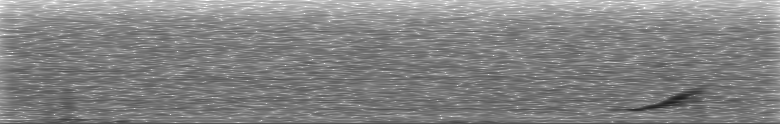 [Loading Spectrogram]