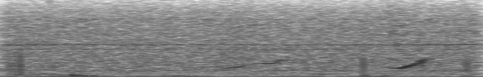 [Loading Spectrogram]