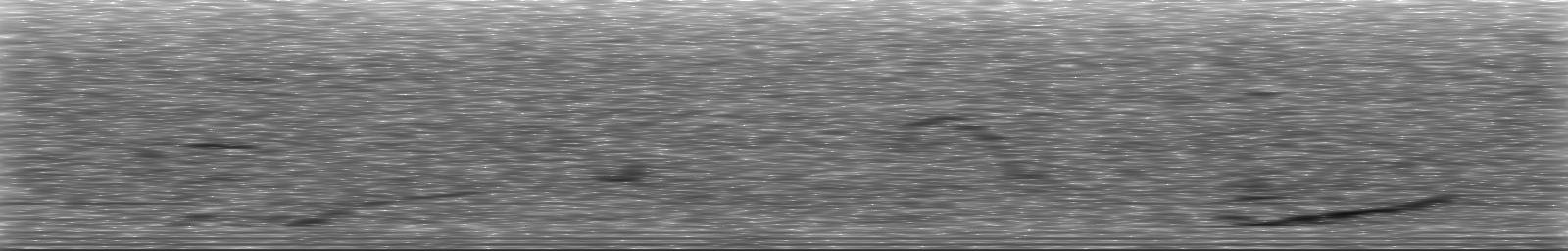 [Loading Spectrogram]