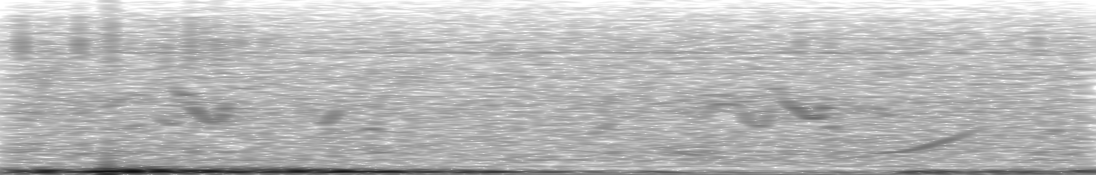 [Loading Spectrogram]