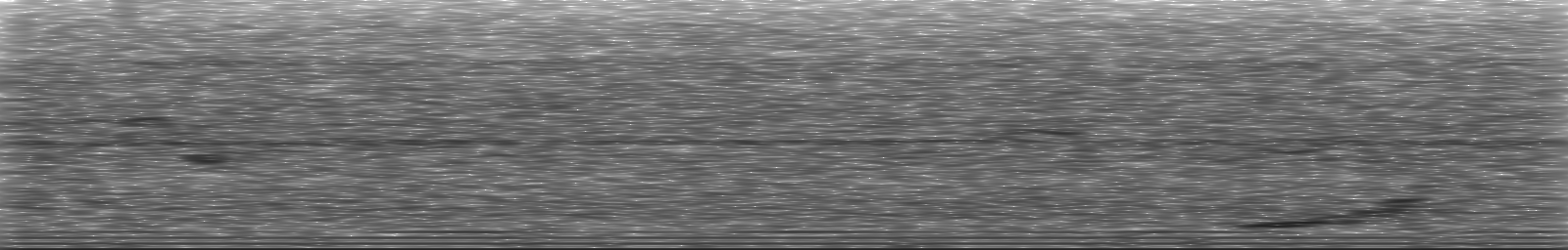 [Loading Spectrogram]