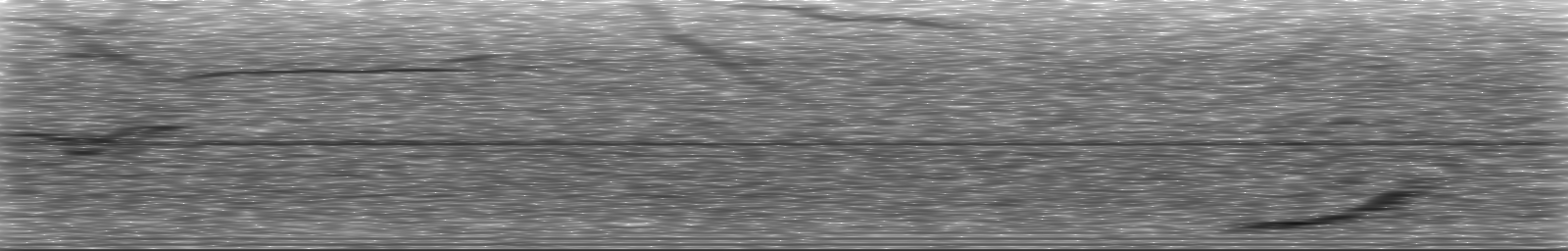 [Loading Spectrogram]