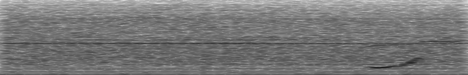 [Loading Spectrogram]