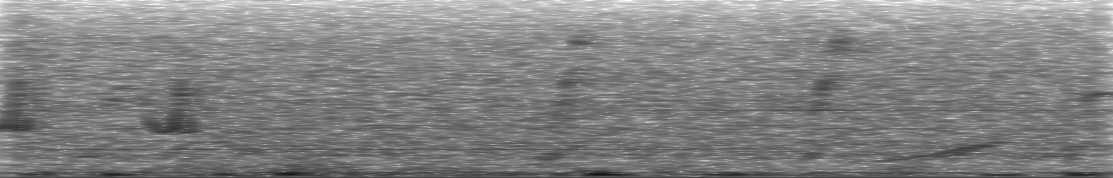 [Loading Spectrogram]