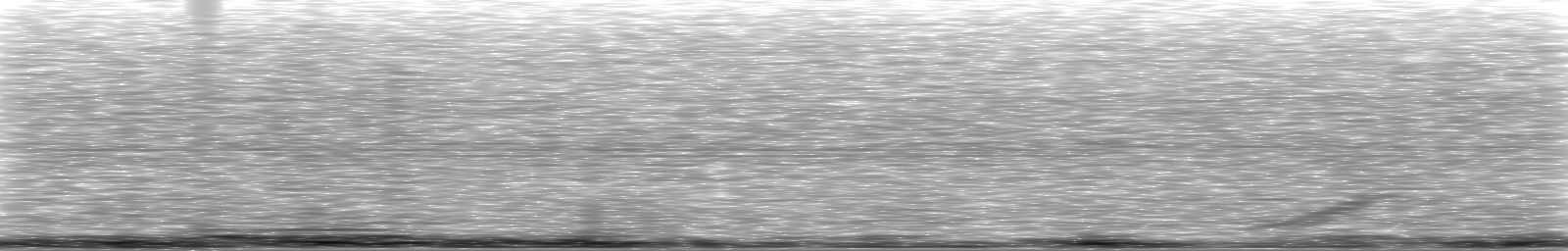 [Loading Spectrogram]