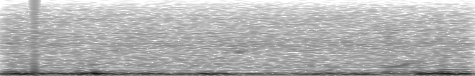 [Loading Spectrogram]