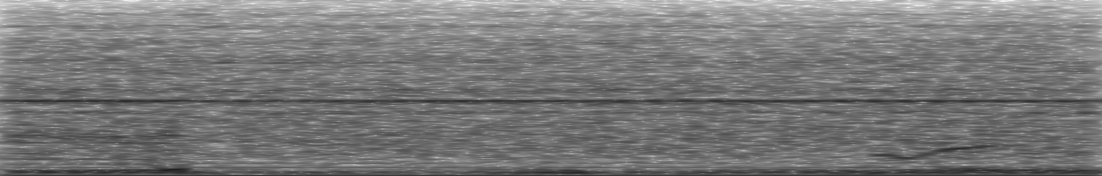 [Loading Spectrogram]