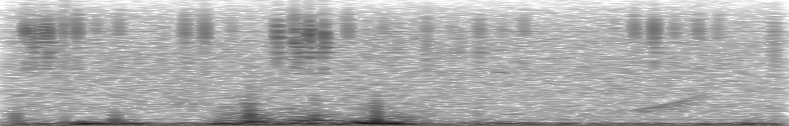 [Loading Spectrogram]