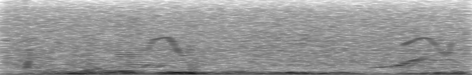 [Loading Spectrogram]