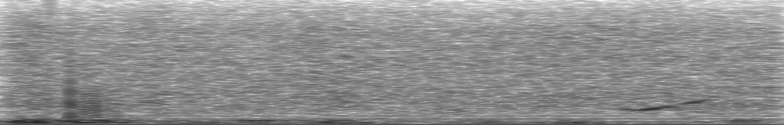 [Loading Spectrogram]