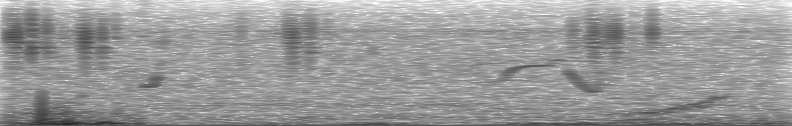 [Loading Spectrogram]