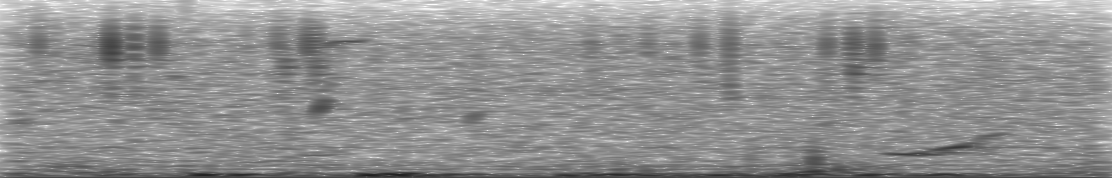 [Loading Spectrogram]