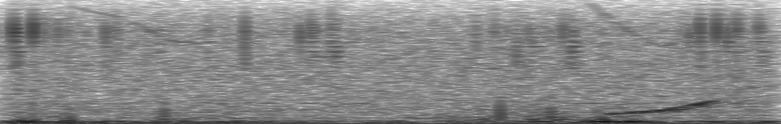 [Loading Spectrogram]