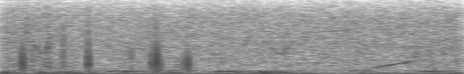 [Loading Spectrogram]