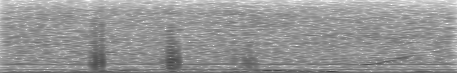 [Loading Spectrogram]