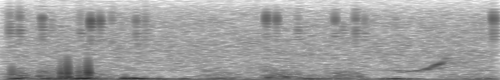 [Loading Spectrogram]