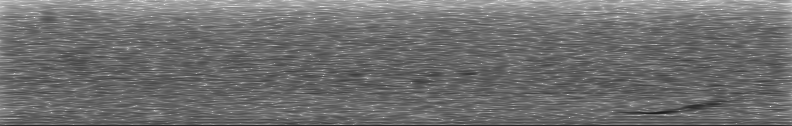 [Loading Spectrogram]