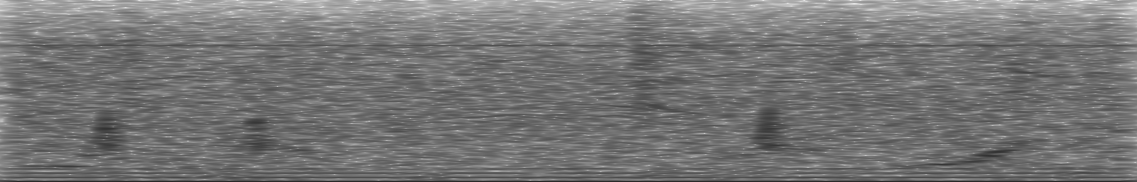 [Loading Spectrogram]