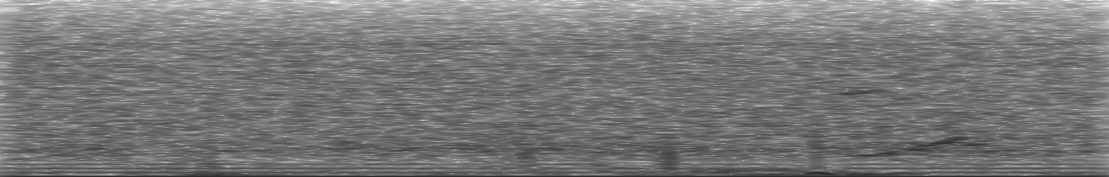 [Loading Spectrogram]