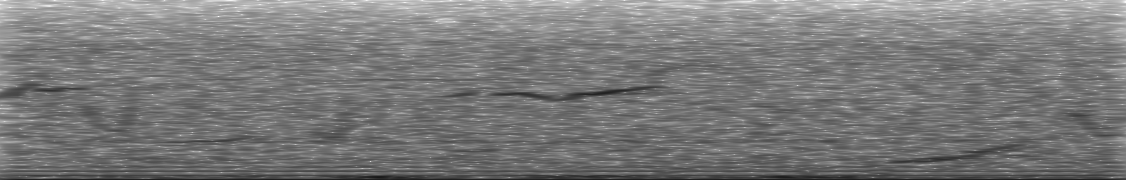 [Loading Spectrogram]