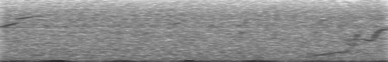 [Loading Spectrogram]