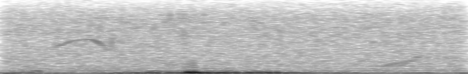 [Loading Spectrogram]