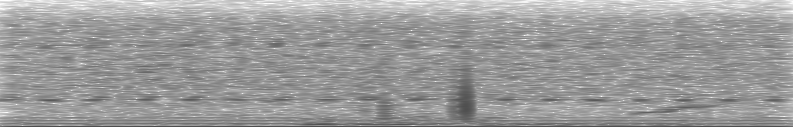 [Loading Spectrogram]