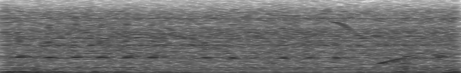 [Loading Spectrogram]