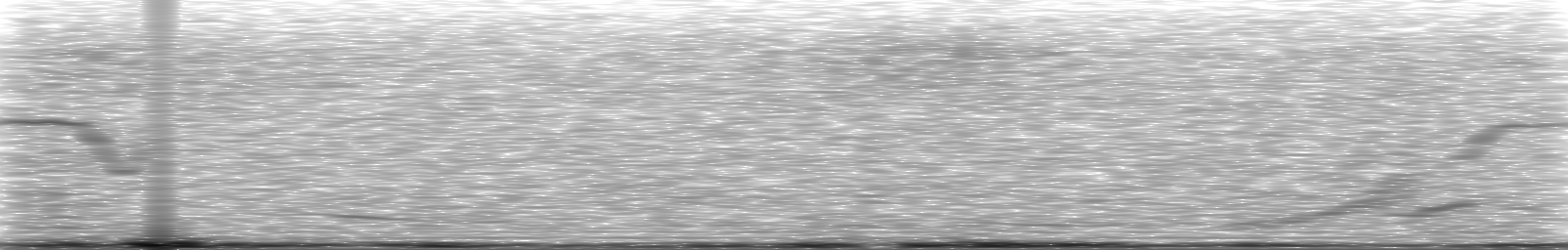 [Loading Spectrogram]