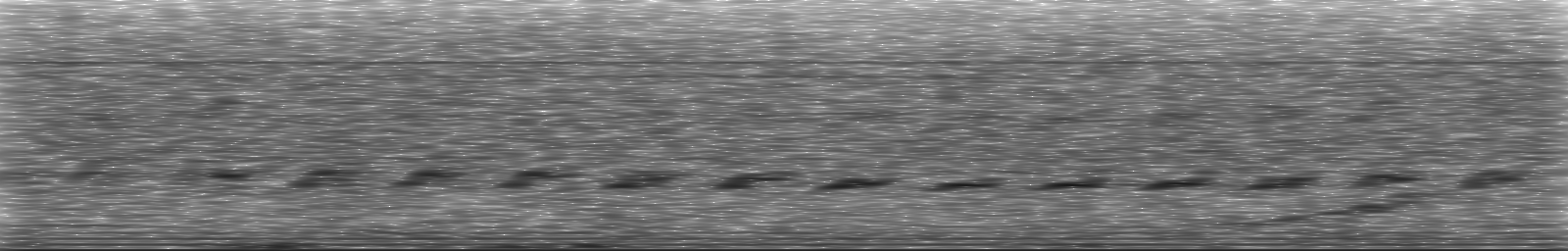 [Loading Spectrogram]