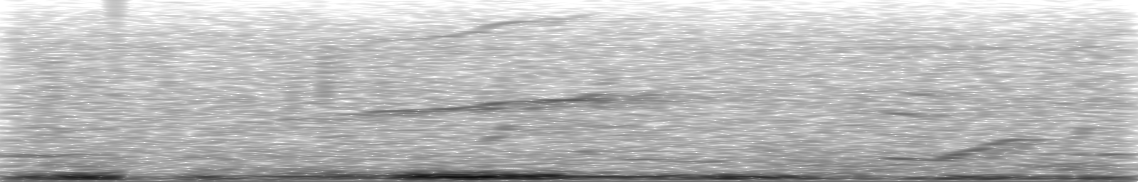 [Loading Spectrogram]